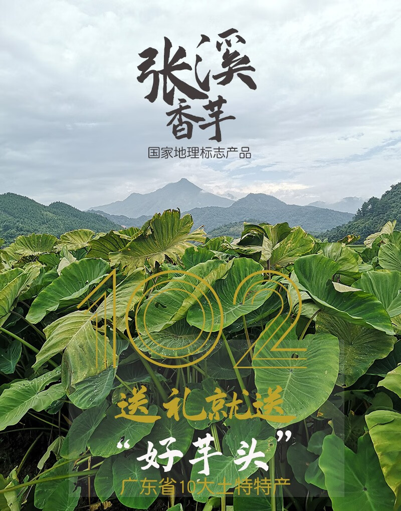 [乐昌馆 炮弹芋头 张溪香芋 国家地标产品 广东乐昌特产 槟榔芋头 21