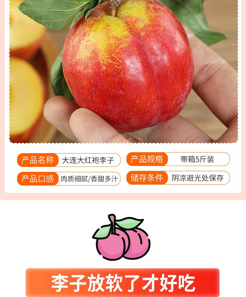 【产地直发】红布林李子水果新鲜应季水果李子 红布林2斤装【图片