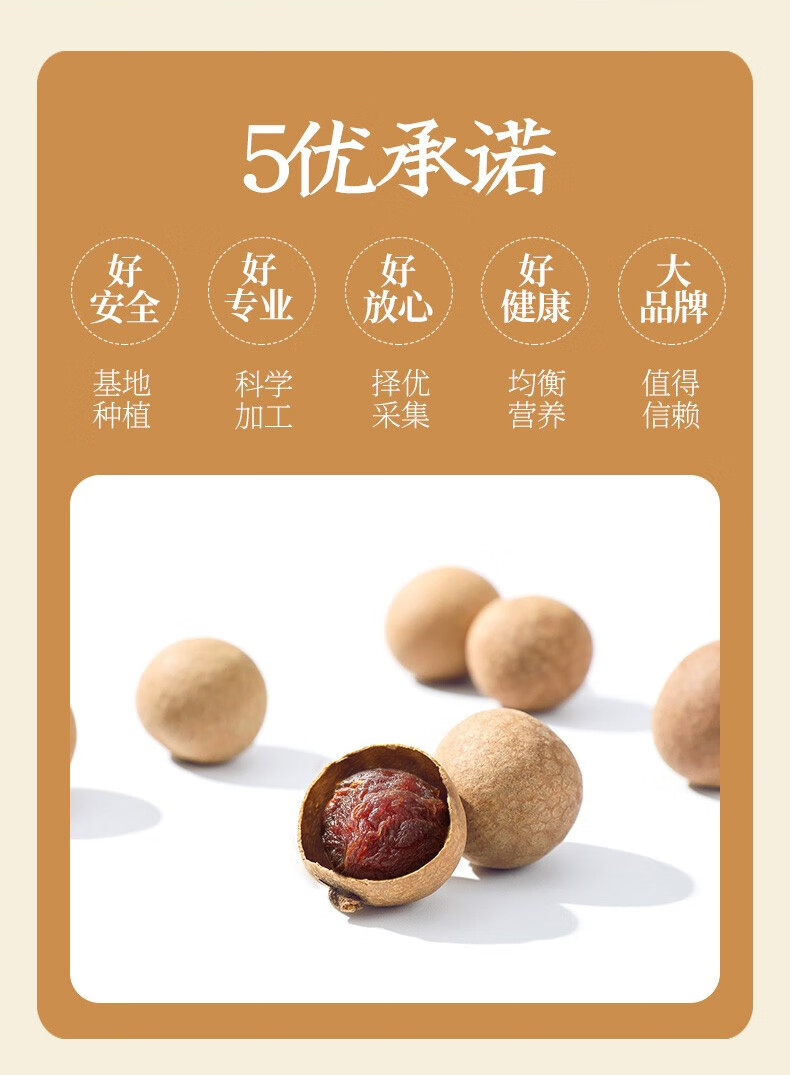 燕之坊 桂圆干520g 龙眼肉非无核果脯特产干货蜜饯特产桂圆肉桂圆干