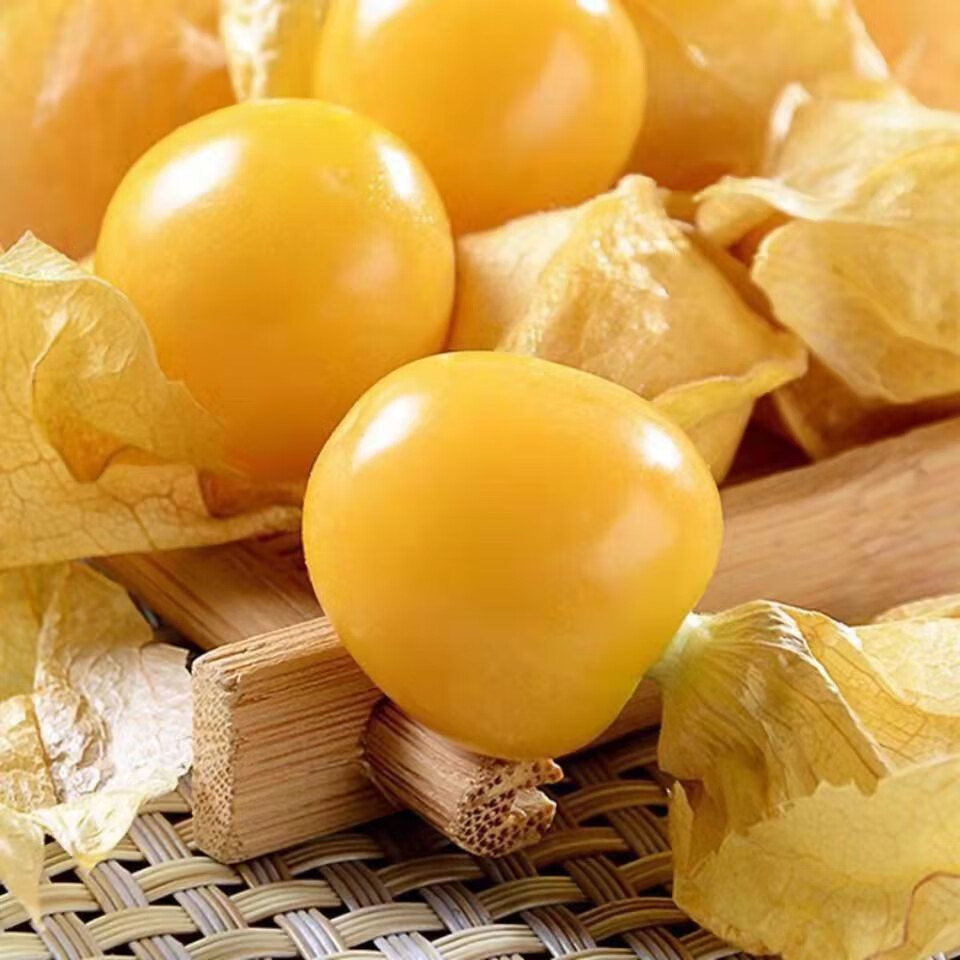 【千帆亭种子】千帆亭 甜姑娘果种子真甜大灯笼果种籽春秋四季阳台