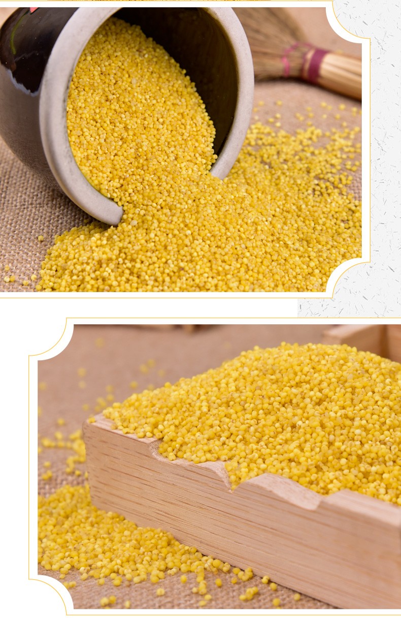 人民食品沁县黄小米2kg4斤山西小米小黄米小米五谷杂粮熬粥米880g袋装