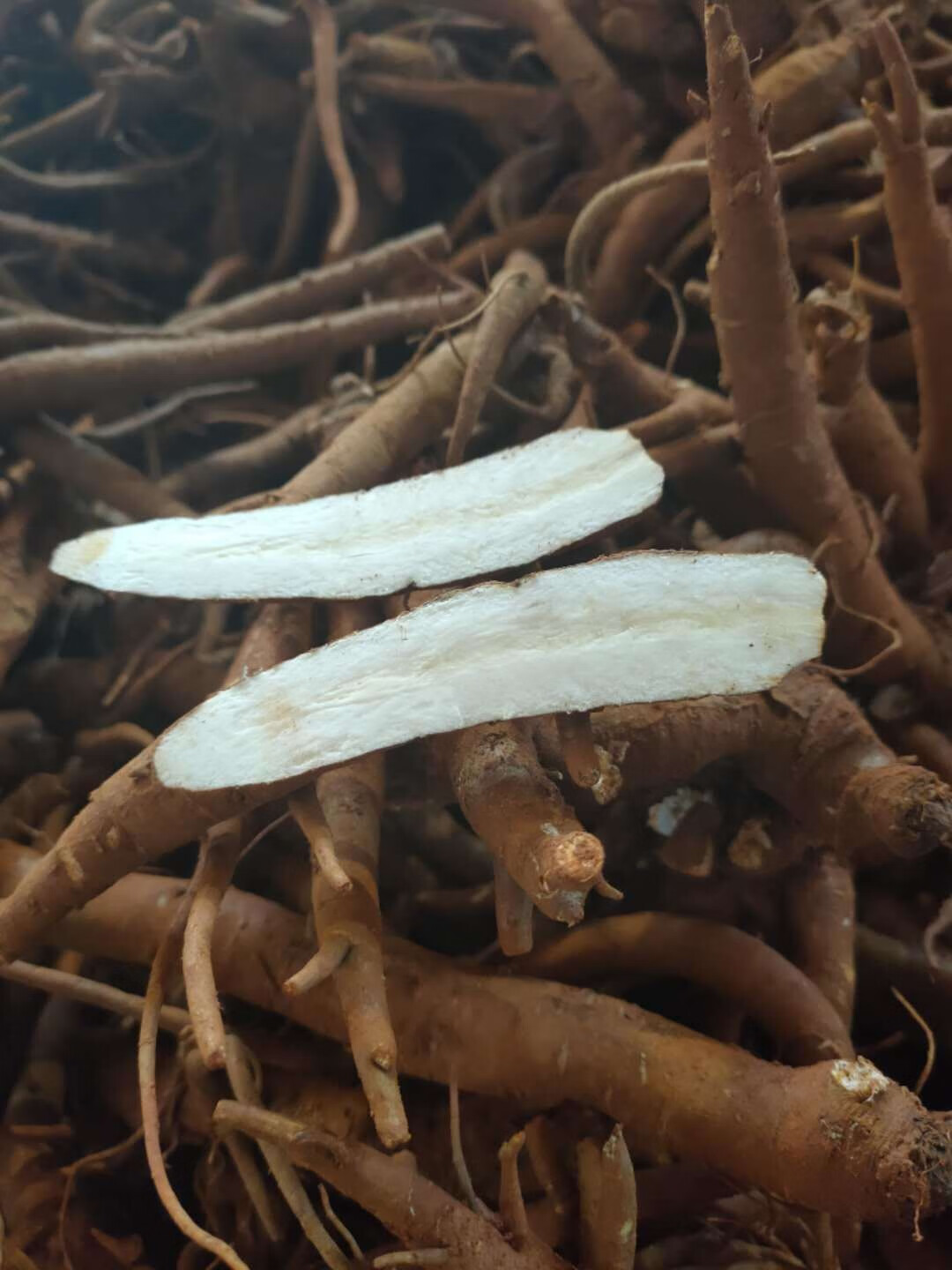 新鲜当归 新鲜甜当归云南独脚归煲汤滋补材料 云归 甜当归 3斤