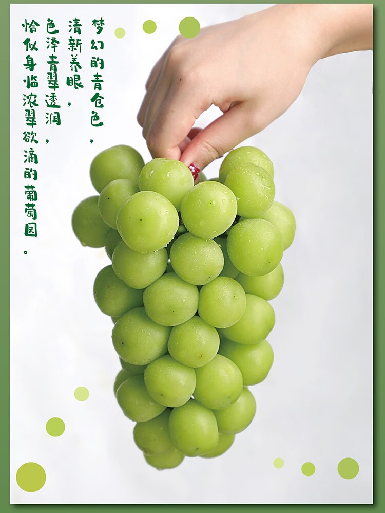 顺丰特快韩国进口晴王葡萄香印青提阳光玫瑰2斤装12串