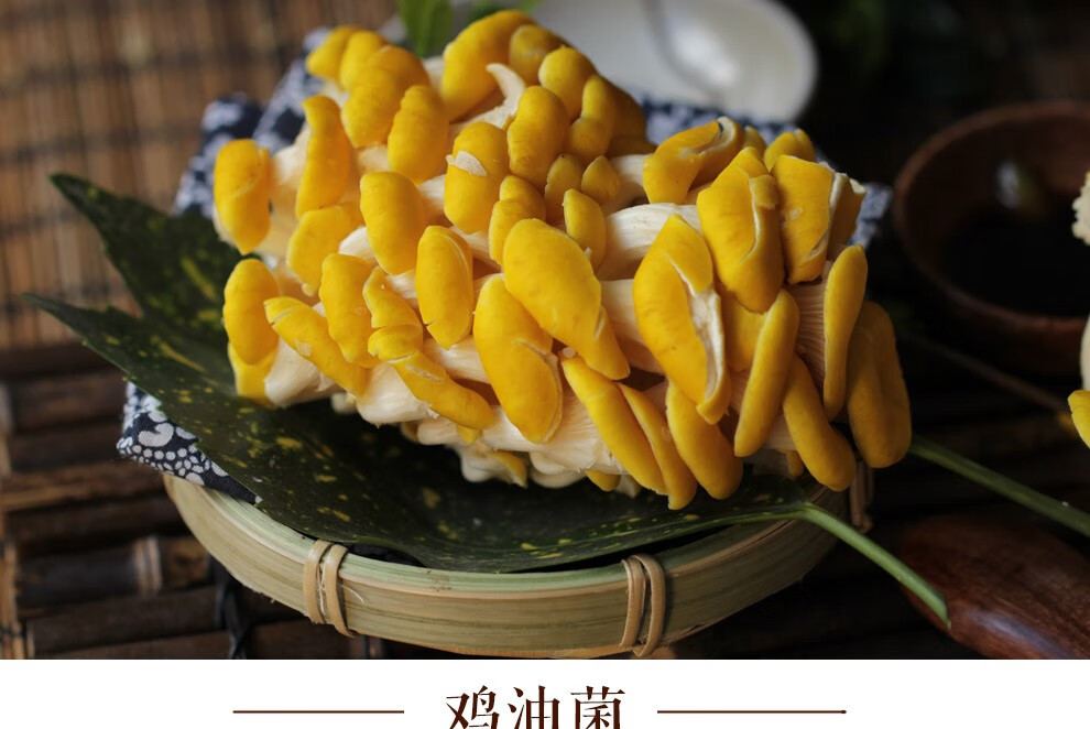 5kg 黄丝菌鸡油蘑 火锅涮菜 新鲜1000g【图片 价格 品牌 报价】-京东