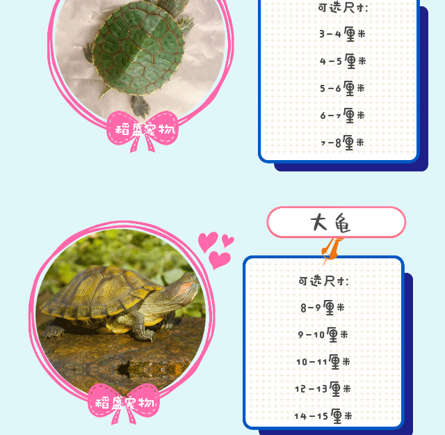 大乌龟活体 巴西乌龟小宠物乌龟苗红耳乌龟情侣龟水龟招财龟全品巴西