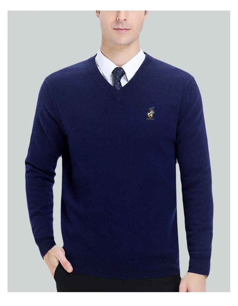 美国保罗polo官方店羊毛衫男士v领冬季新款长袖保暖毛衣男中年上衣深