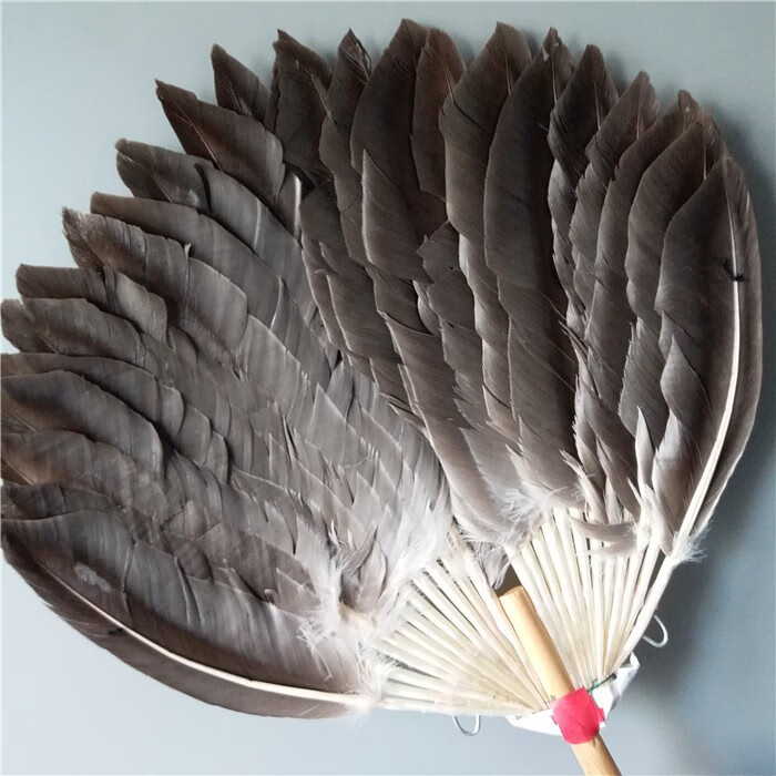 道匠行 鹅毛扇子孔明扇 羽毛扇子宝宝扇儿童婴儿诸葛亮羽扇鸡毛夏季