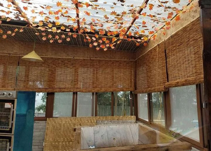 凯悦畜牧阳光房中国风芦苇帘子吊顶新款草编草席简易办公室草帘通风