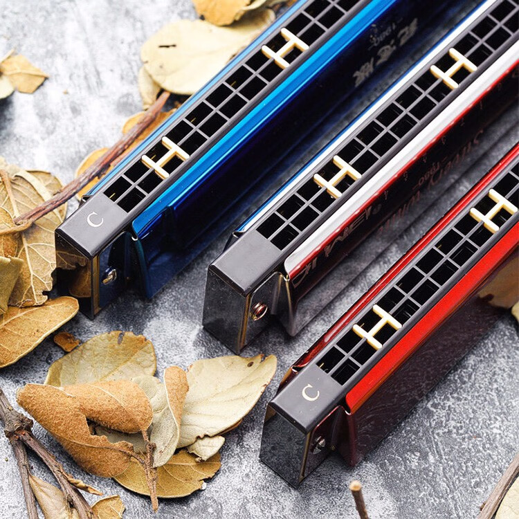 口琴初学者24孔复音c调儿童学生演奏初学入门男乐器标配版银色