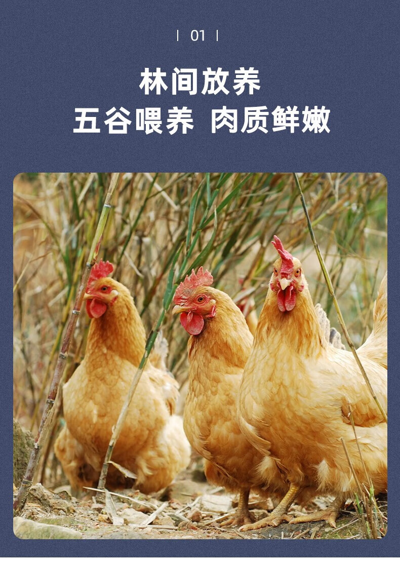 果鲜岛 鸡 老母鸡 农家散养土鸡肉 新鲜冷冻整只炖汤鸡肉生鲜 买1曾1