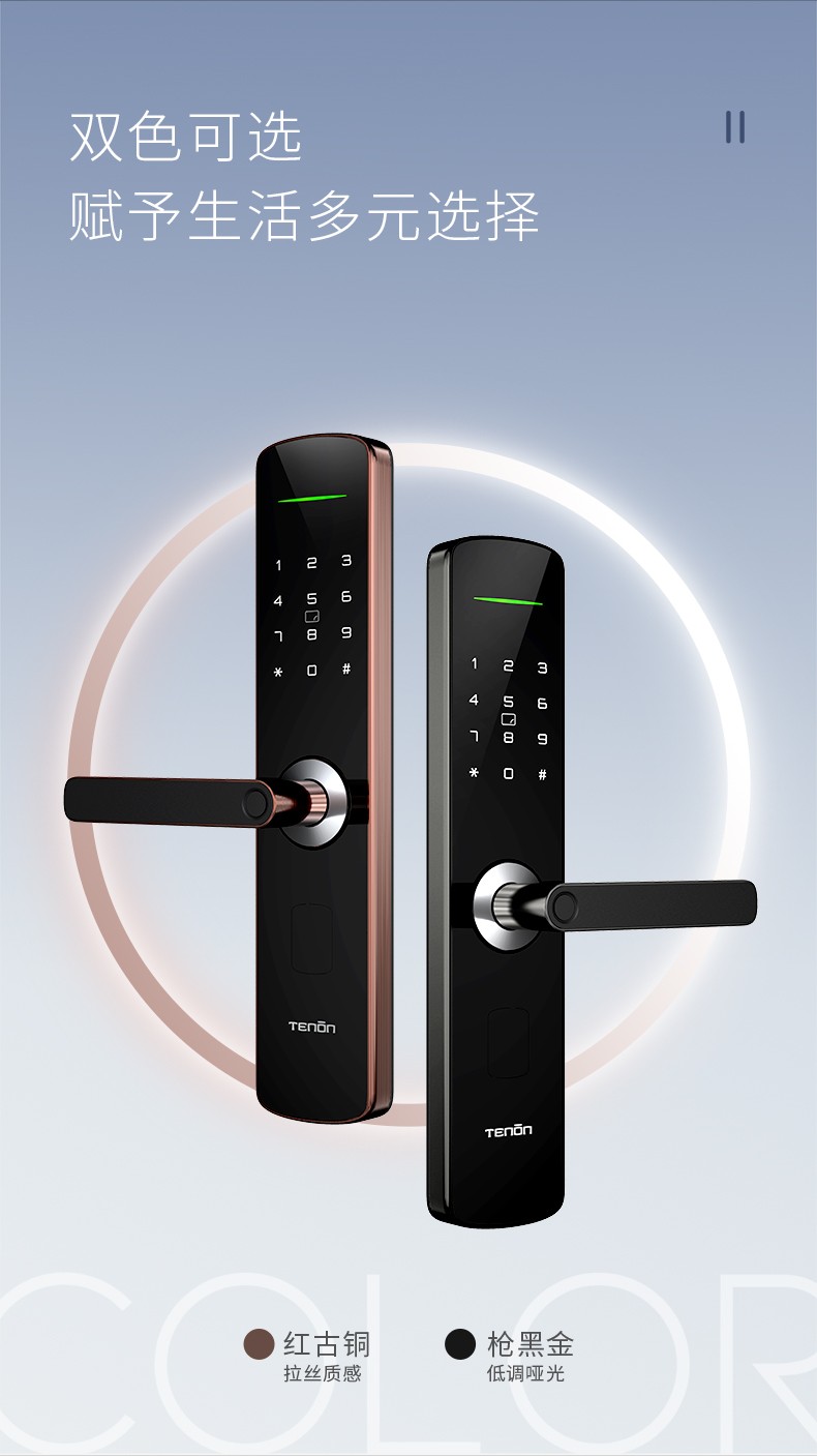 亚太天能 (tenon )e3智能锁电子锁指纹锁家用防盗门密码锁 枪金黑