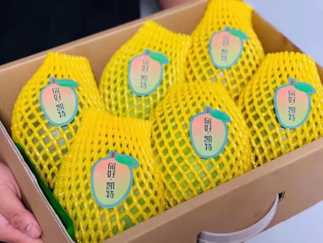 攀枝花凯特芒【现摘/顺丰送到家】新鲜水果礼盒 当季大青甜芒果新特大