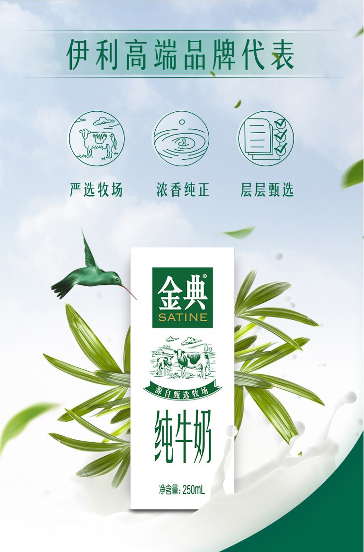 伊利金典纯牛奶250ml*12整箱 儿童学生成人老人健康营养早餐奶纯奶