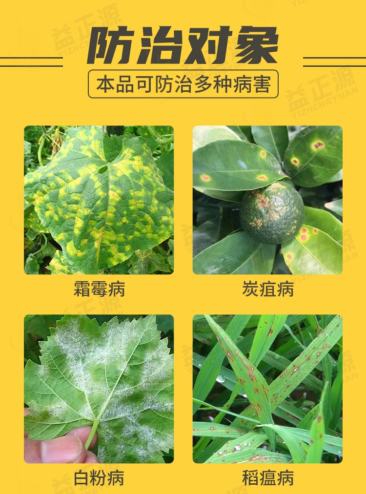 先正达阿米妙收苯甲嘧菌酯325克升蔓枯病炭疽病叶斑病锈病轮纹病杀菌