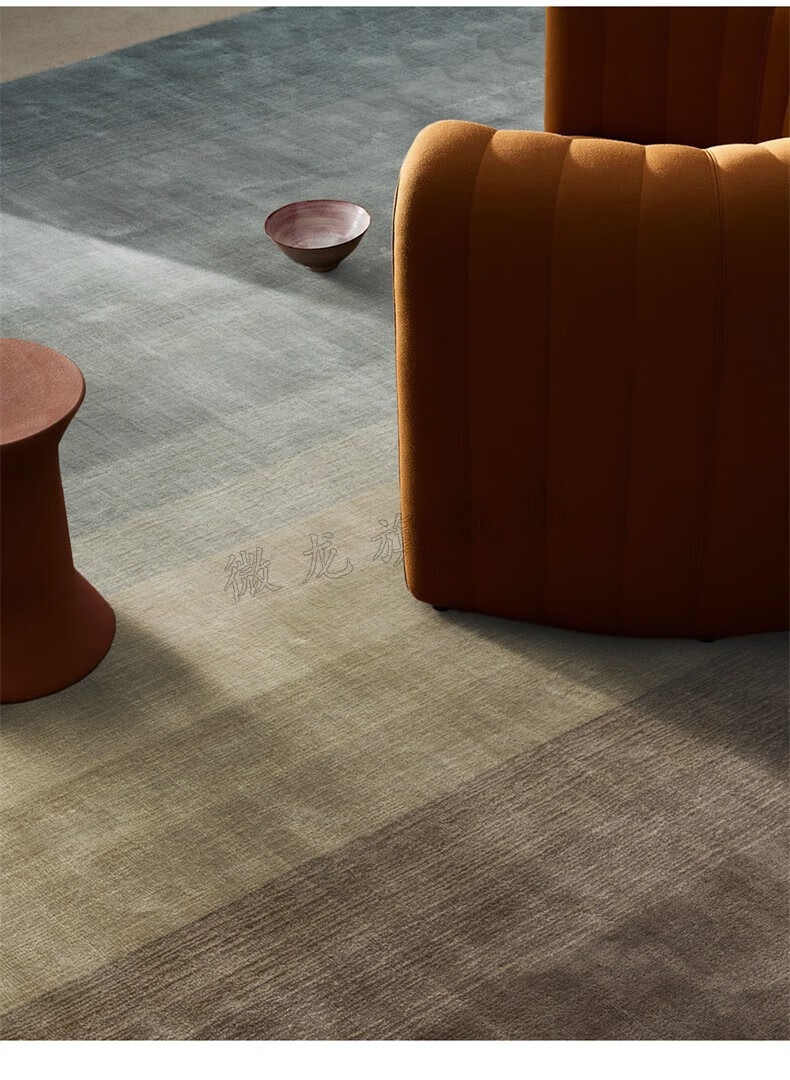 微龙 印度进口高端天丝客厅地毯轻奢沙发茶几地毯欧式简约纯色家用