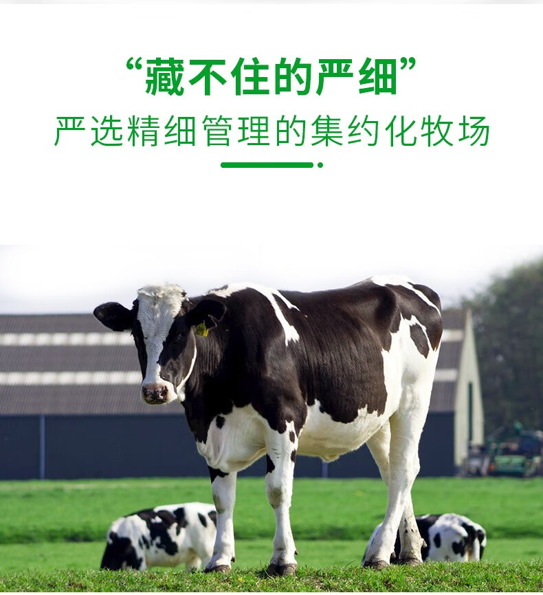 得限量周边蒙牛纯牛奶2021牛运包装250ml全脂牛奶学生营养早餐奶包装