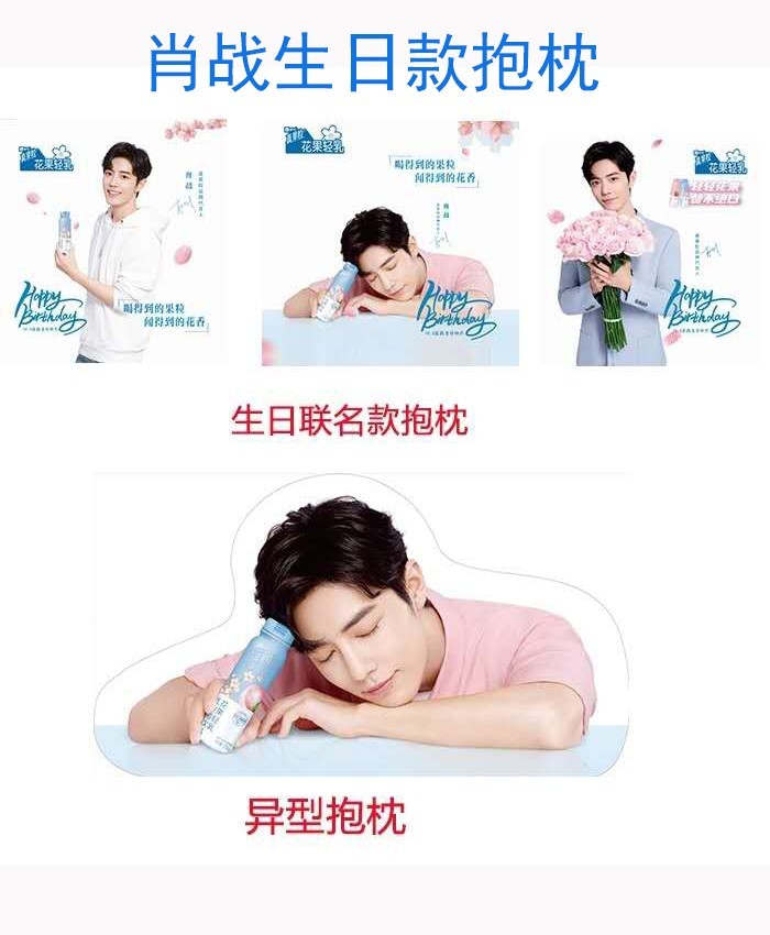 蒙牛真果粒花果轻乳肖战定制包装(限量装)代言礼盒装乳酸菌饮品 捧花