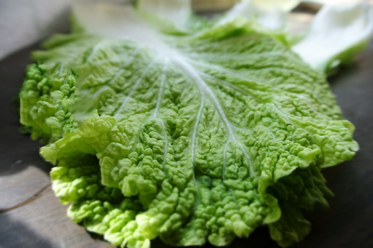 东北大白菜新鲜蔬菜整棵农家小白菜腌酸菜大叶包饭青菜 2000g