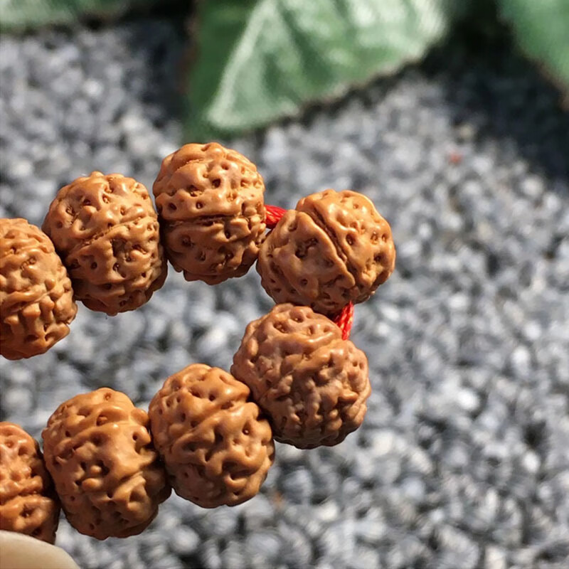 六瓣蜂窝航母小金刚黄皮钢豆铁籽矮桩桩型统一皮壳油亮颜色统一男士