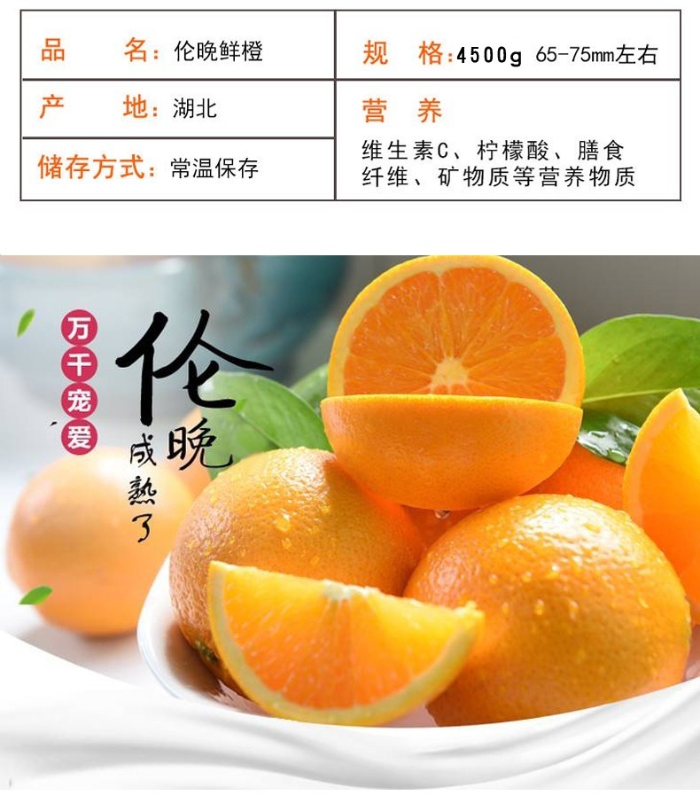 【现摘】湖北秭归伦晚橙 新鲜时令水果 当季手剥甜橙春橙 9斤大果【75