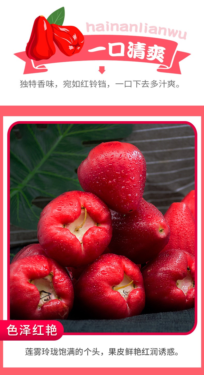 海南红宝石莲雾当季新鲜水果莲雾果黑金刚莲雾精选4斤分享装