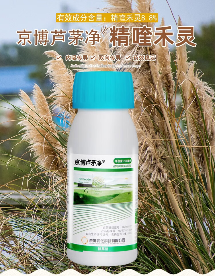瀚鑫京博芦茅净88精喹禾灵油菜大豆苗圃池塘除牛筋草芦苇茅草除草剂
