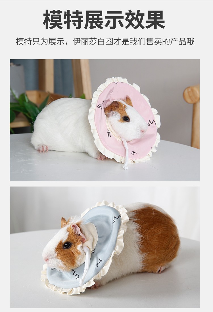 吉仔仔小宠伊丽莎白圈仓鼠蜜袋鼯防抓防护圈荷兰猪防咬护理圈蓝色l脖