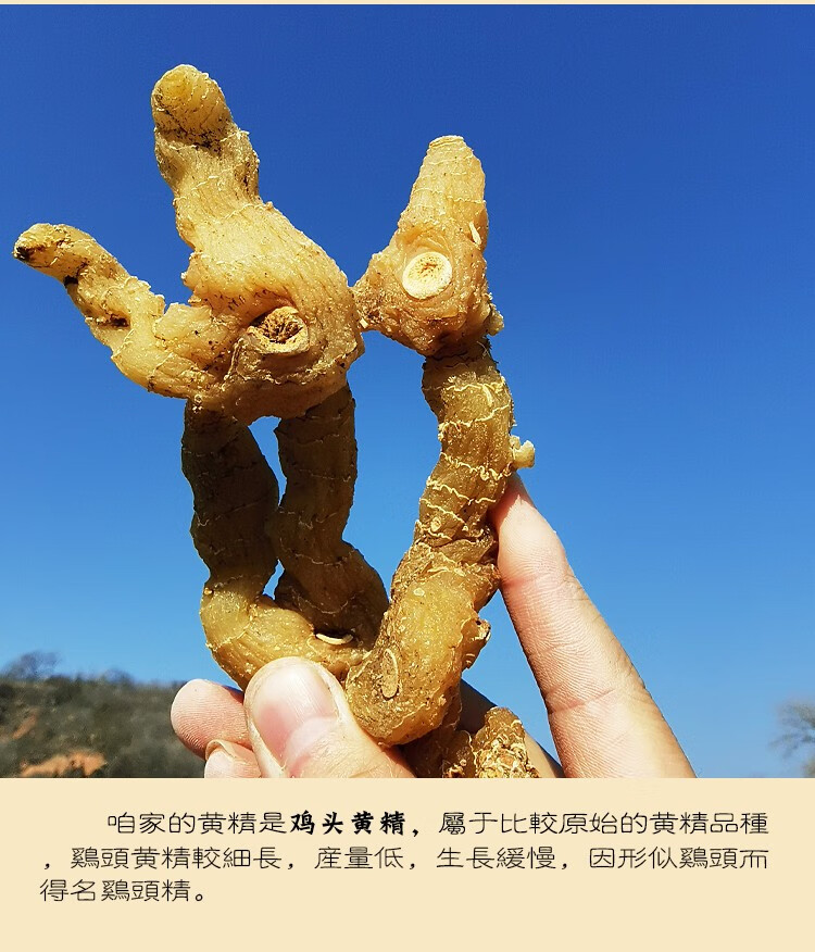 致天然黄精500g鸡头黄精干黄精鸡头精深山自采黄精鸡头黄精250克