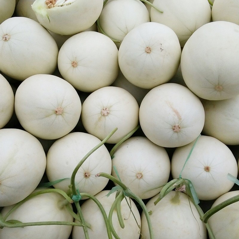 奶香哈密瓜玉奶香哈密瓜甜瓜果整箱 5斤【图片 价格 品牌 报价】-京东