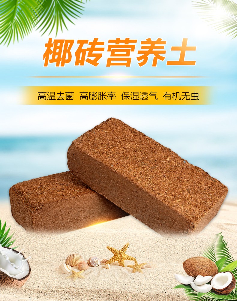 hqc椰砖营养土养花通用型椰糠壳耶砖粗多肉种菜大块脱盐大块椰砖1块
