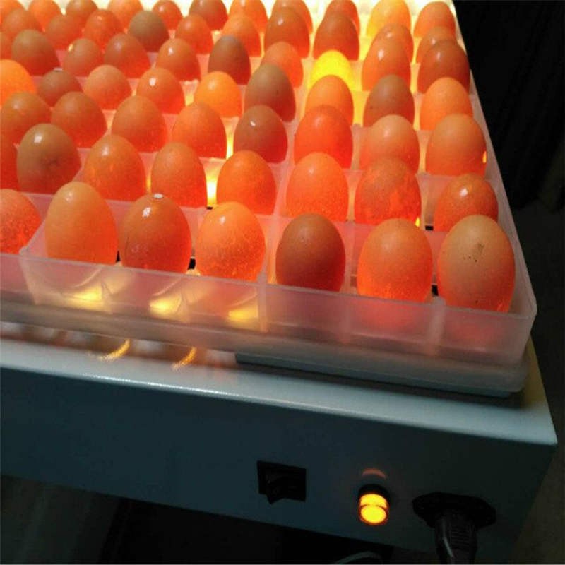 欣明佳照蛋器验蛋孵蛋孵化机器专用照蛋灯种蛋检查可充电冷光led150枚