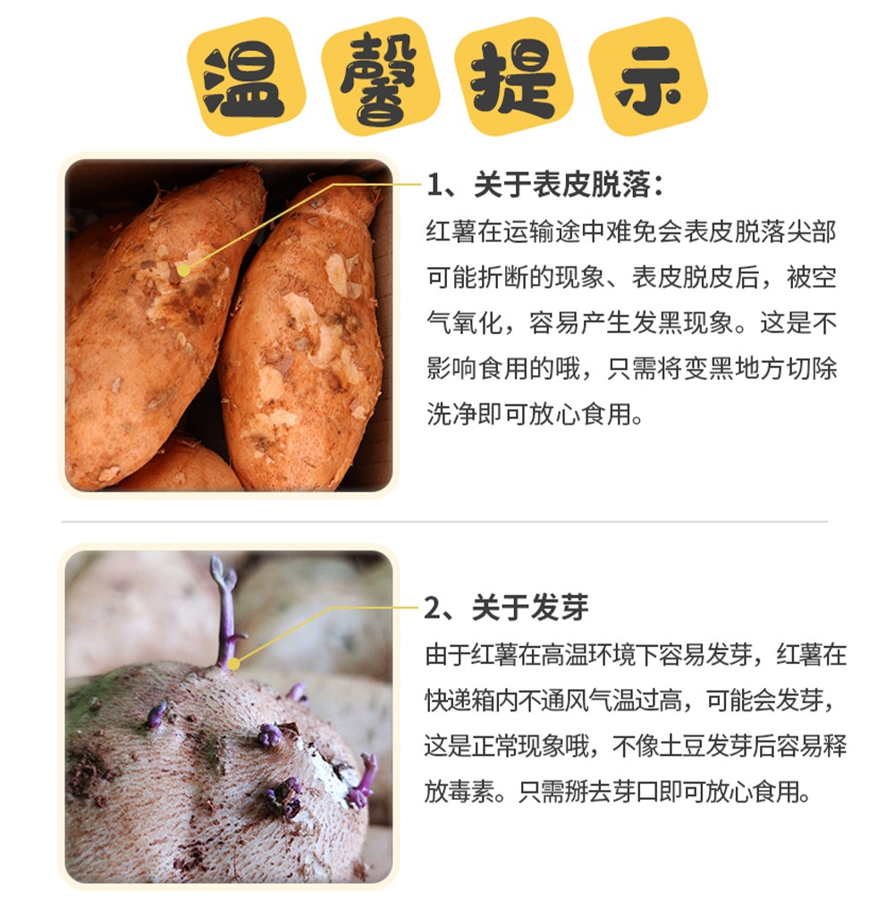 云南高原蜜薯黄金地瓜火锅烧烤食材健康轻食新鲜蔬菜严选9斤