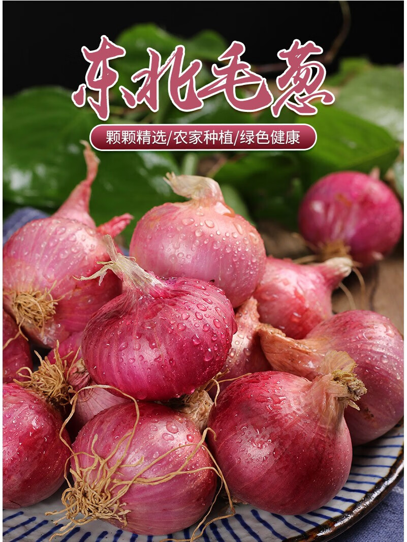 顺丰东北小毛葱农家紫皮小洋葱鬼子葱笨毛葱头珠葱小葱红葱头鲜蔬菜 5
