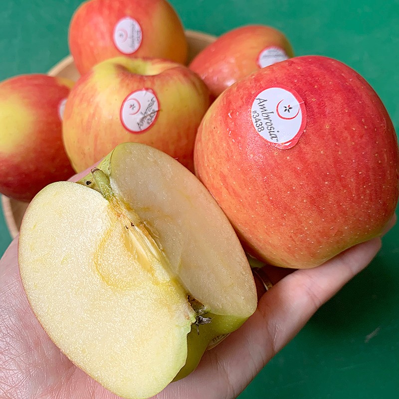 【顺丰】智利安波亚苹果8个装鲜甜神仙苹果 8个装约2斤【图片 价格 品