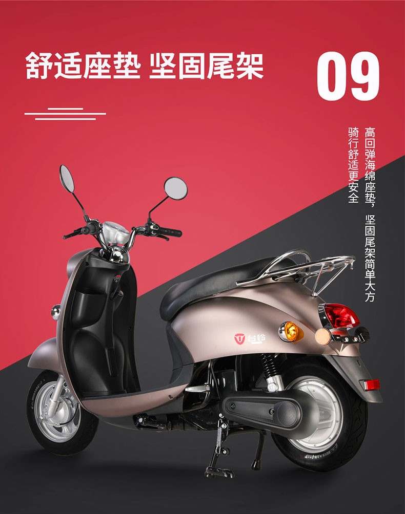 台铃(tailg)新款铃q电动车电动摩托车1000w电机电瓶车踏板车 钢琴黑