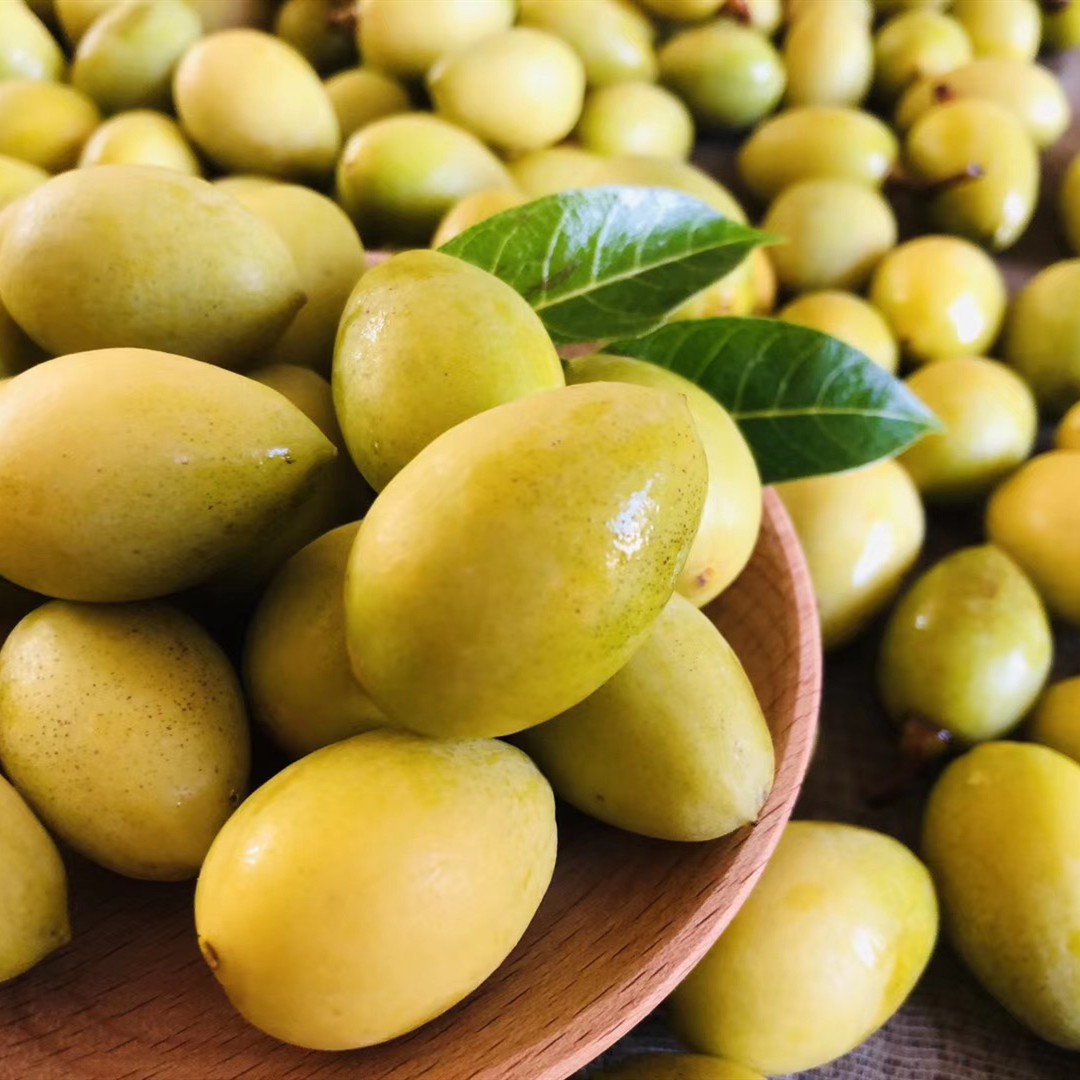 春光岛新鲜潮汕香种黄橄榄 金黄外表 脆爽适口 回甘持久 泡酒煲汤精选