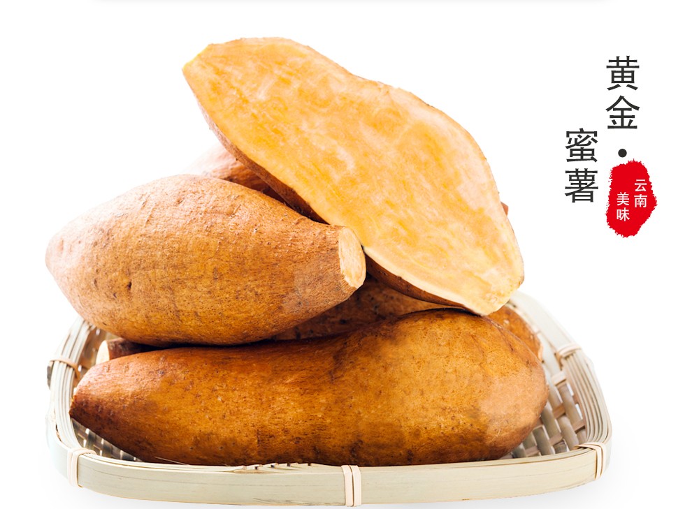 云南高原蜜薯黄金地瓜火锅烧烤食材健康轻食新鲜蔬菜严选9斤