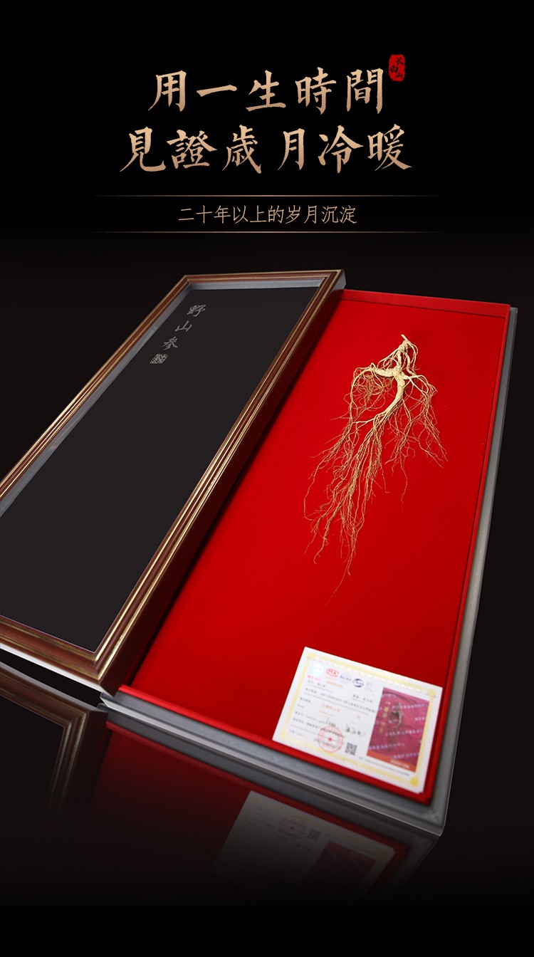 【顺丰配送】参秀才 野山参礼盒长白山人参约30年林下参国检一等野