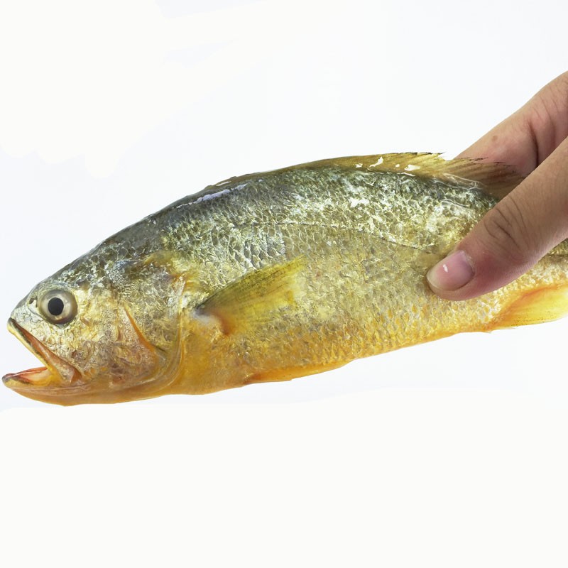 4人份海水/淡水:海水包装:简装重量:1000-1999g类别:黄鱼/黄花鱼原