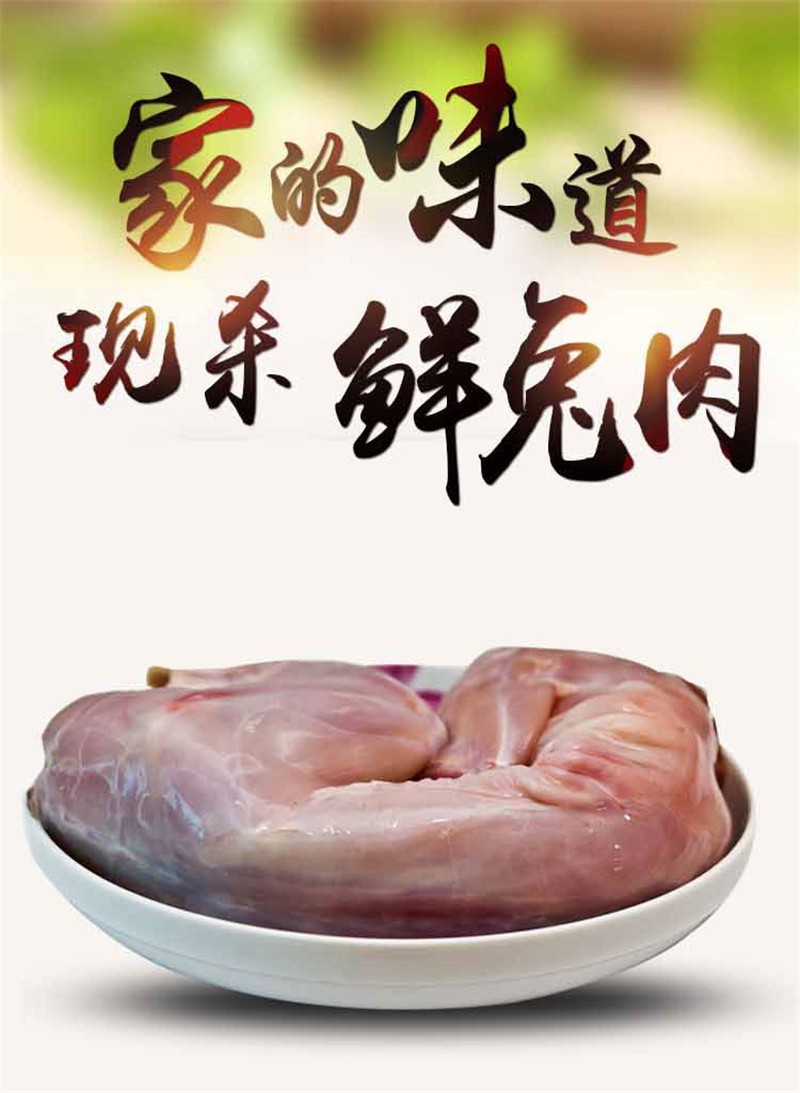 博多客 兔肉 新鲜现杀整只兔子肉 去头去内脏白条兔肉 顺丰发货 1只