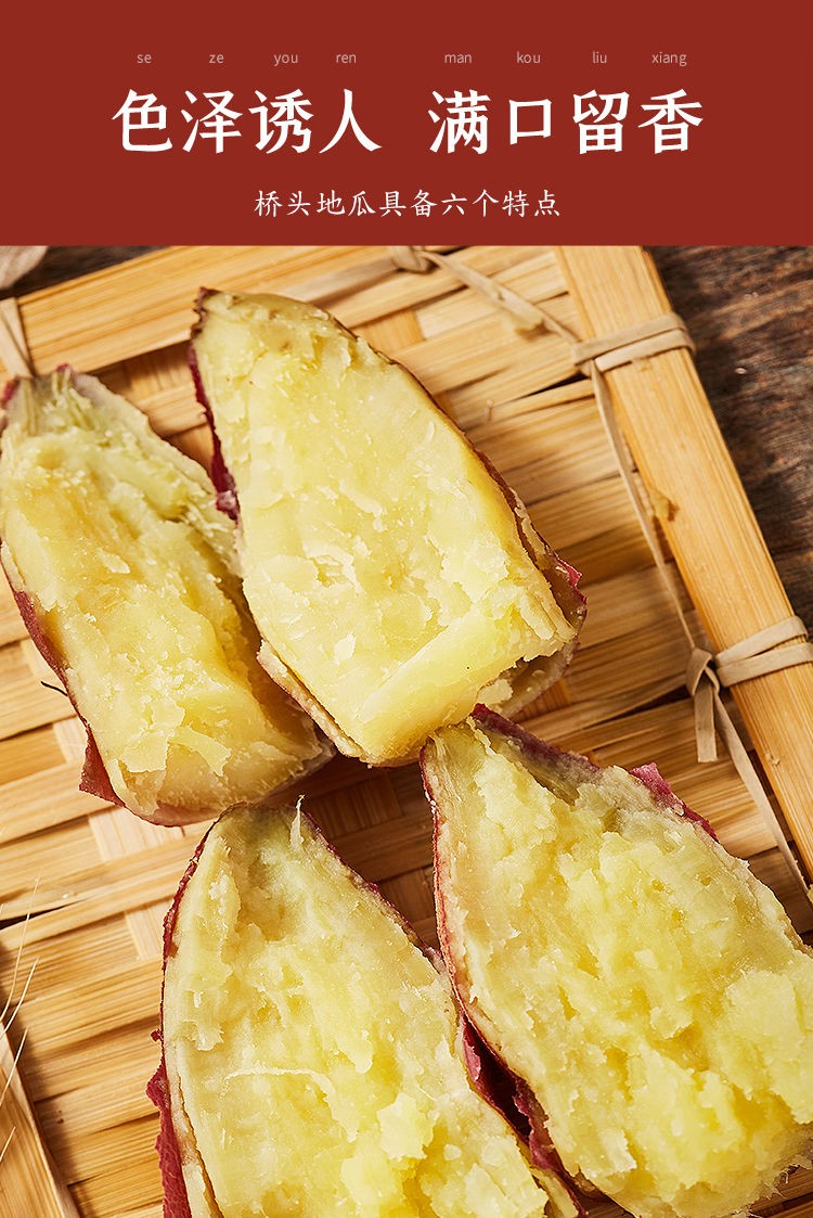 春光岛海南澄迈桥头沙地红薯 富硒板栗地瓜番薯 紫薯中果净重5斤