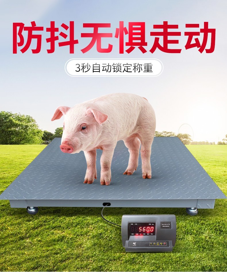 顺丰配送地磅秤电子地磅秤称猪地磅秤13吨高精度地磅秤工业物流用秤
