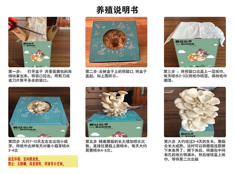 蘑菇盒子儿童steam科学实验套装种植包可食用菌种菌包盒子网红创意
