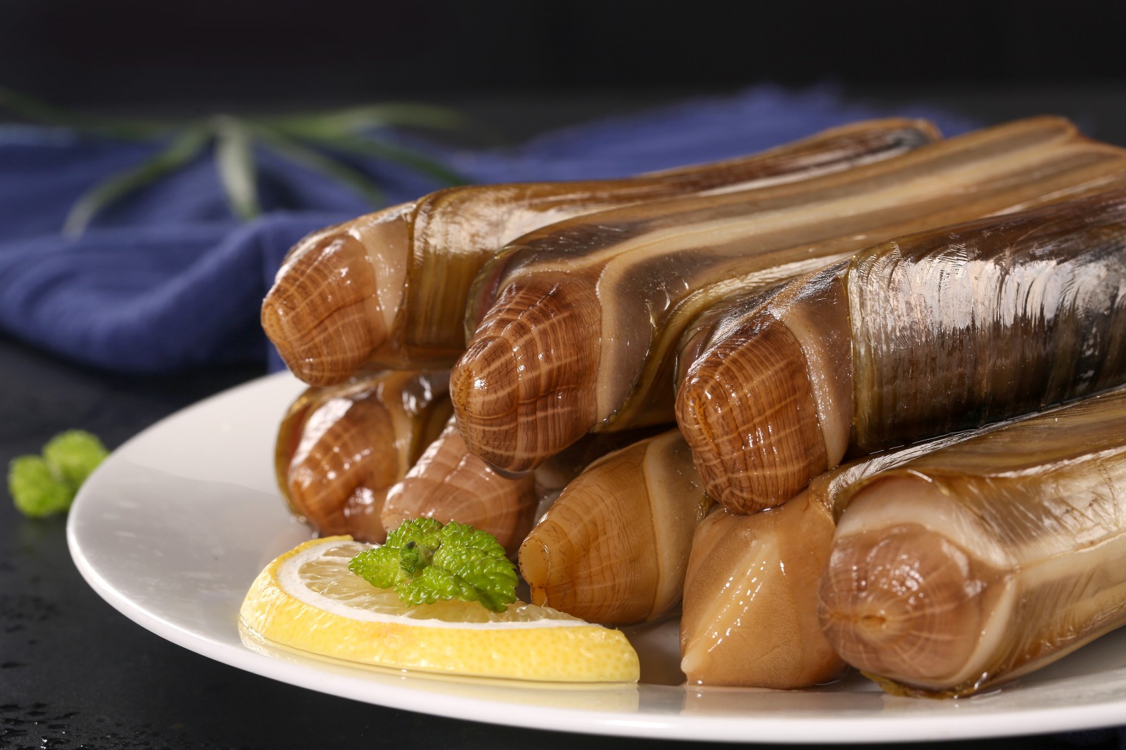 梦尝客 活鲜蛏子蛏子王2斤 蛏子王2斤(80-100g/只)