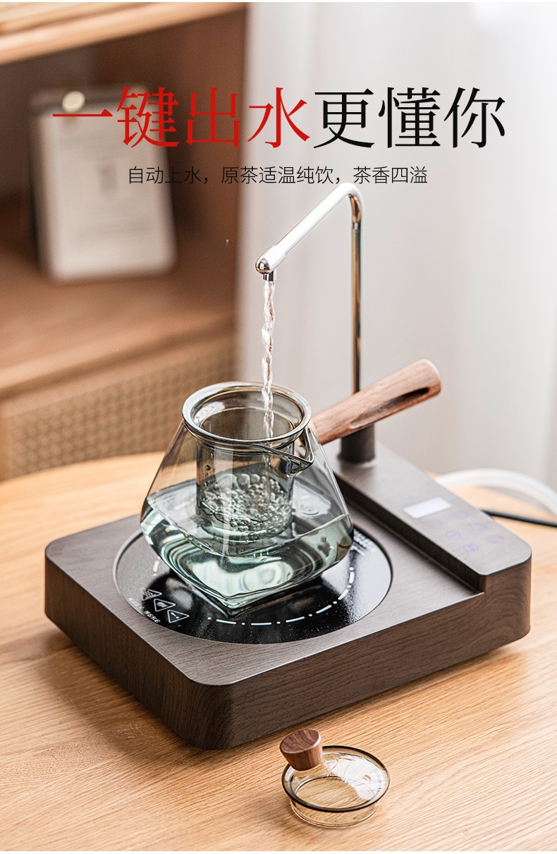 唐丰自动上水电陶炉煮茶器套装家用简约侧把过滤烧茶壶多功能电热茶炉