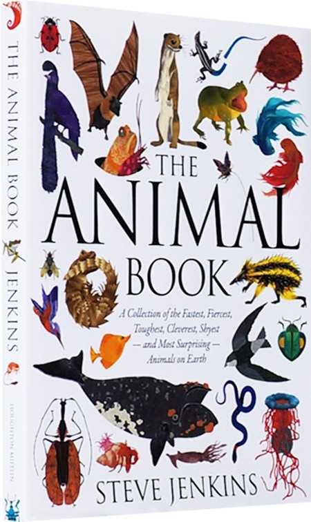 英文原版绘本 the animal book 精装 小学stem 科普阅读图书