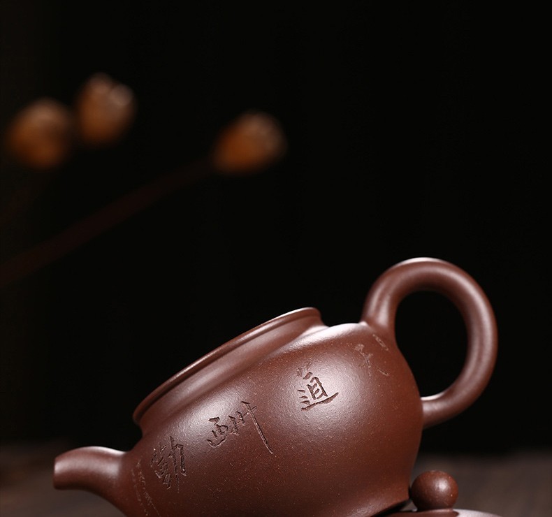 徐保国紫砂壶宜兴名家纯全手工原矿紫砂泡茶壶茶具掇只壶天道酬勤