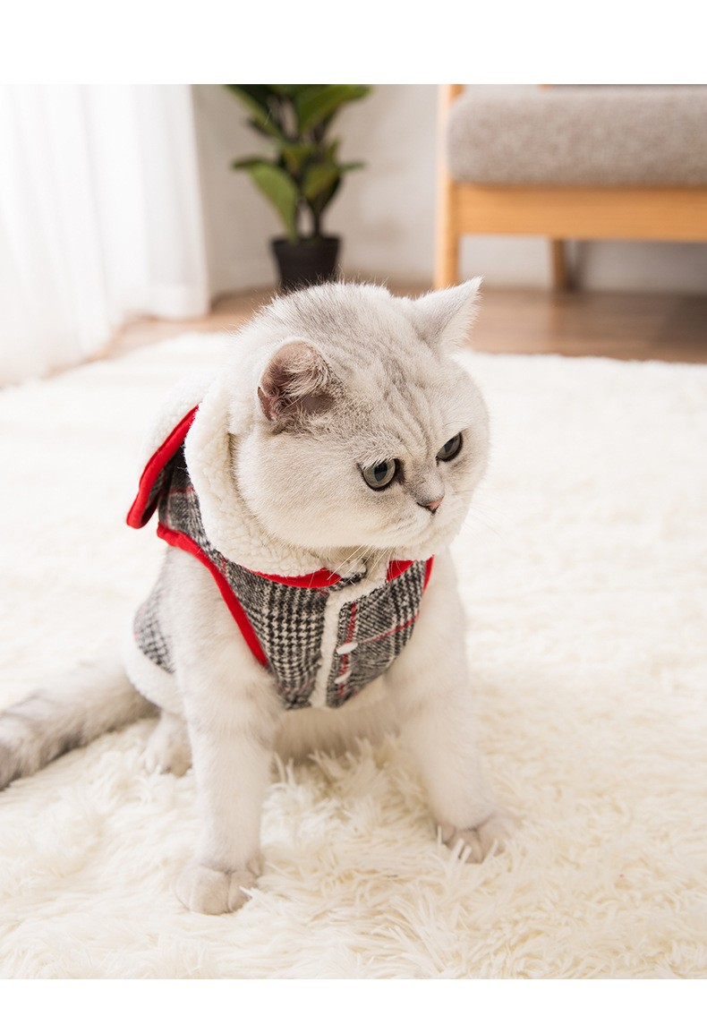 嬉皮狗春秋猫衣服兔耳朵格子棉衣蓝猫英短猫冬款加厚保暖宠物猫咪服