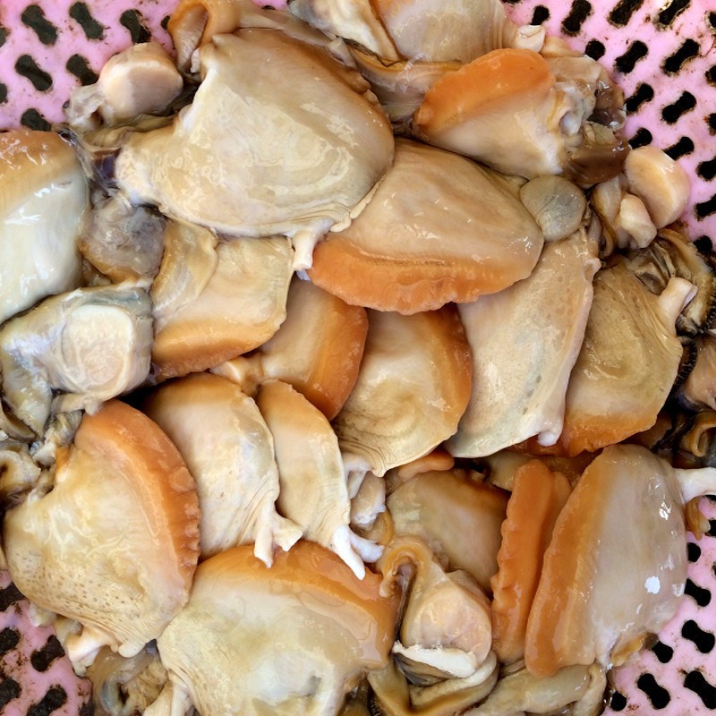 河蚌肉 新鲜河蚌肉 淡水活体大河蚌 现杀去壳河蚌肉大菜园 3kg(6斤)