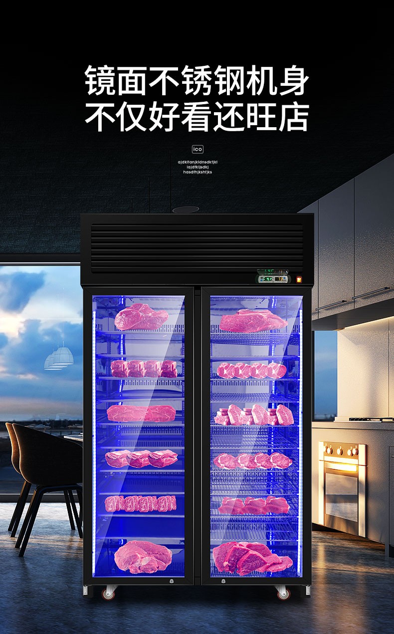 当雪牛肉熟成柜排酸恒温柜高端牛排熟成排酸柜牛肉冷藏展示柜黑色单门